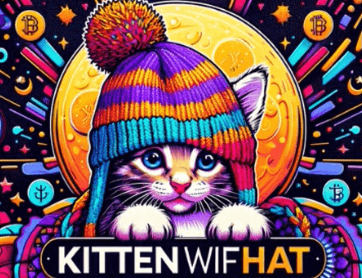 New Solana Meme Coin KittenWifHat In Top Crypto Gainers, Is Slothana Next To Explode